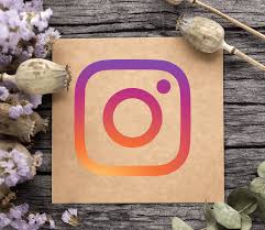 Comment télécharger une story Instagram   